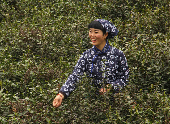 高跟鞋魅影